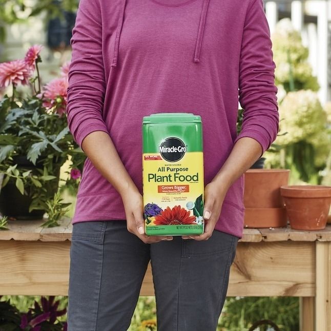 a person holding a bag of Miracle Gro plant food
