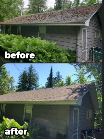 Before and after shots of a roof, with all the leaves removed.