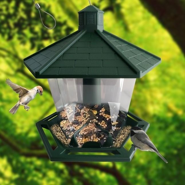 birds gathering around the roofed bird feeder
