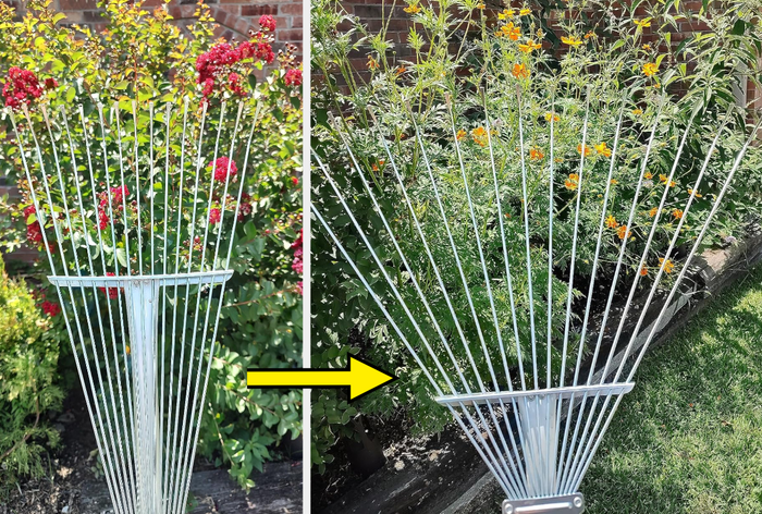 The rake with its head in a narrower position, then fully expanded for wider coverage.