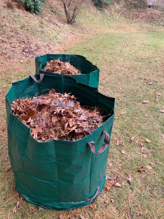 Two green garden bags overflowing with autumn leaves.