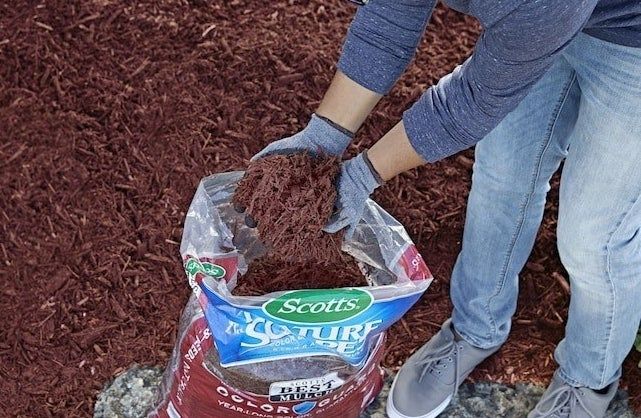 A gardener spreading mulch across a yard