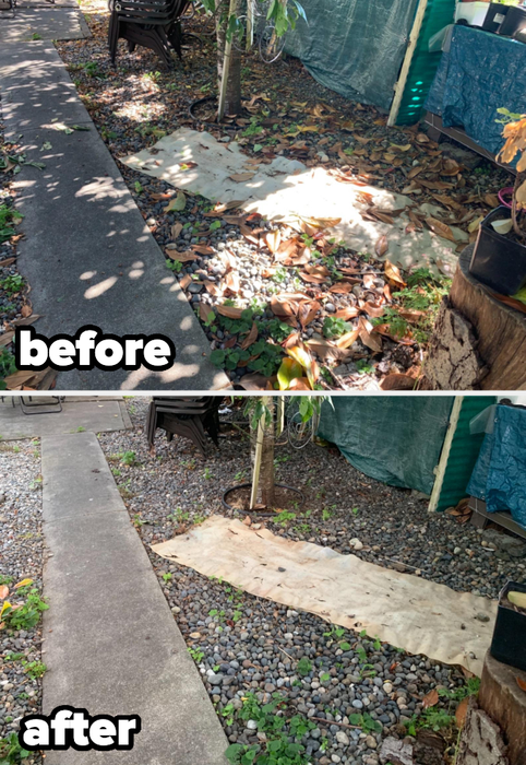 before and after images showing an area cleared of leaves using the blower