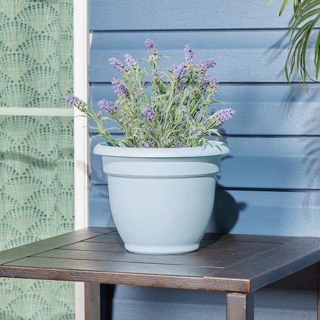 the self-watering planter filled with vibrant flowers