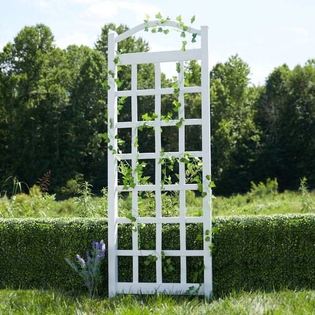 a timeless white trellis enhancing a garden's beauty