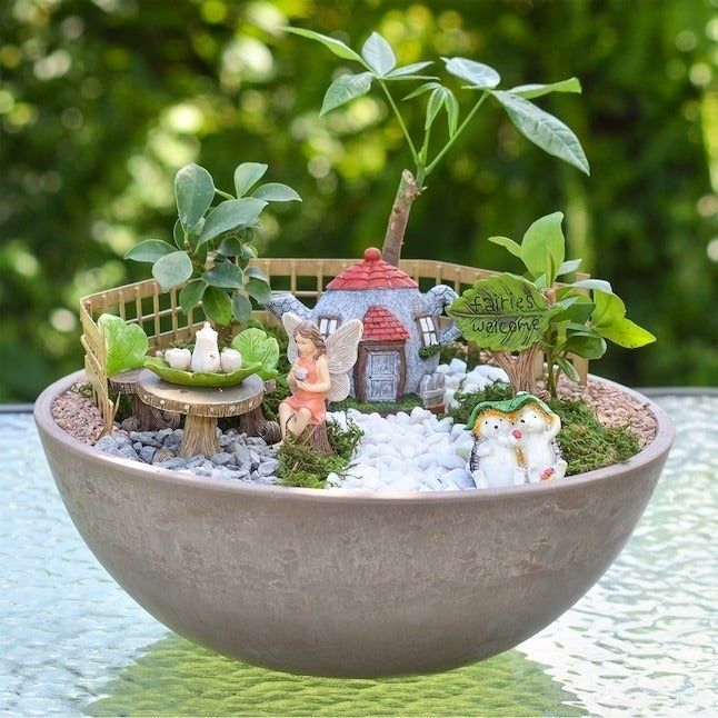 the fairy garden kit displayed in a potted plant