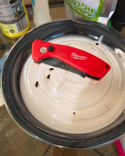 A reviewer demonstrates the garbage guard protecting the lid from large flies on their trash can.