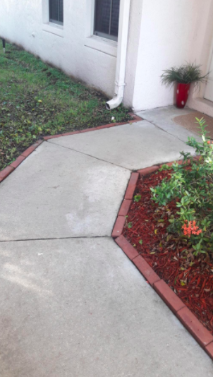 A reviewer’s walkway, now clean and grass-free, after using the outdoor cleaner.