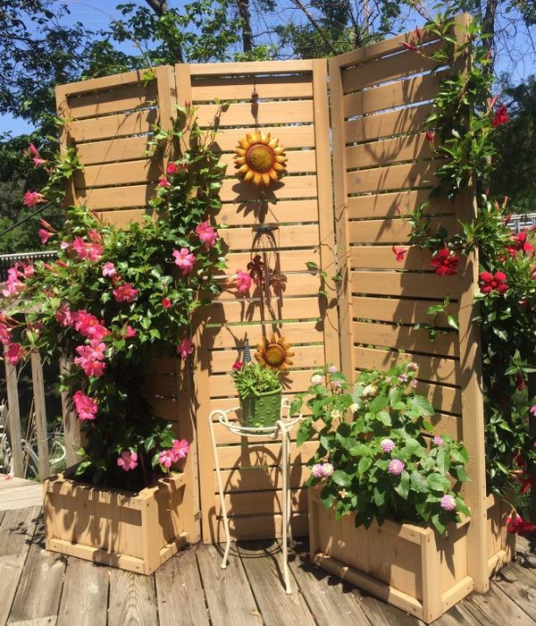 Plants arranged around a wooden three-panel privacy screen.