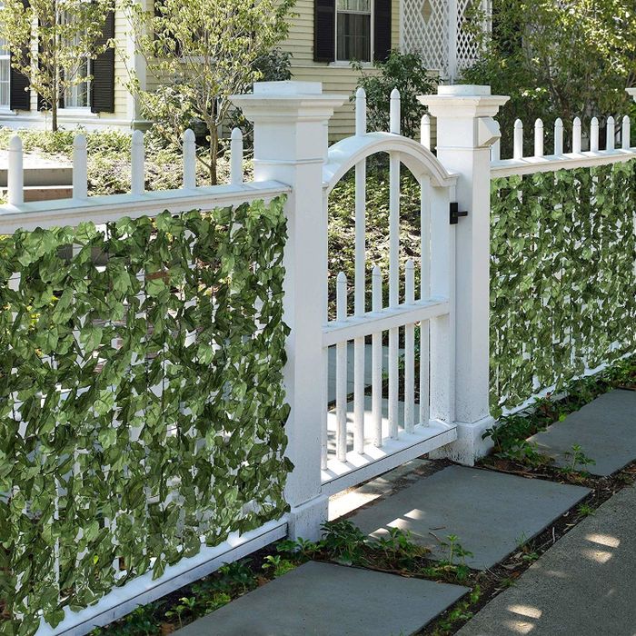 A front yard with a gate, where ivy is wrapped around the fencing to obscure what’s behind it.