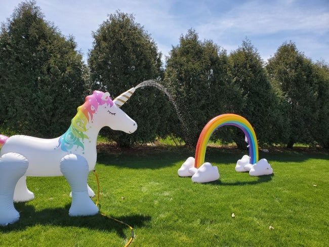 A large inflatable unicorn from the reviewer that sprays water from its horn.