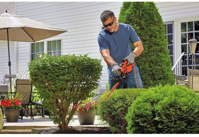 A model holding the hedge trimmer as they shape the bushes.