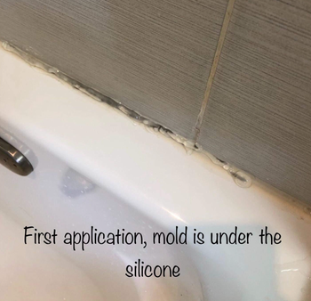 mold and mildew on a reviewer's bathtub