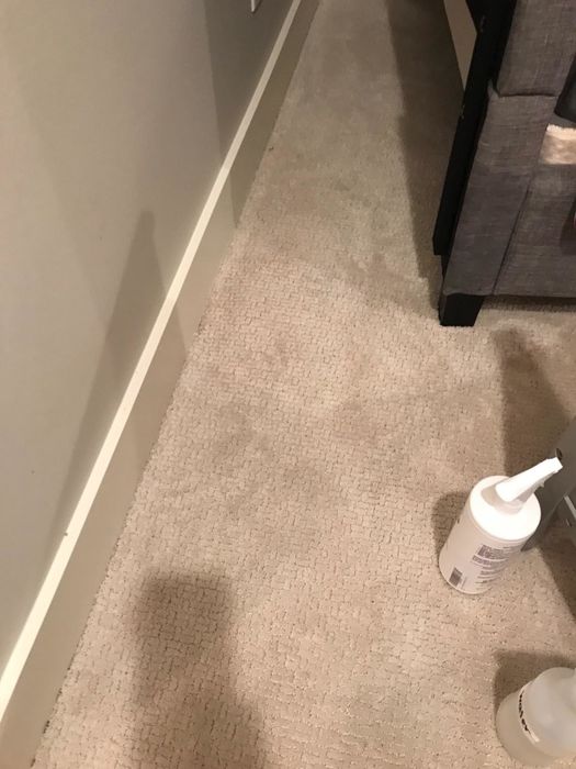 The same carpet with the chocolate milk stain completely gone