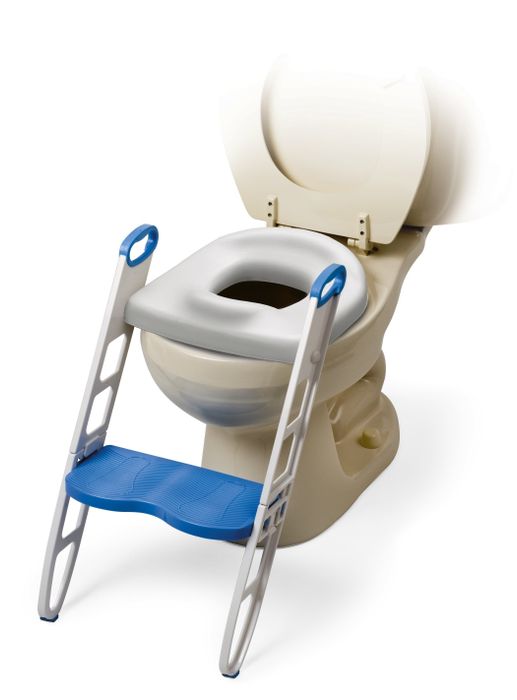 A potty seat with an attached step.