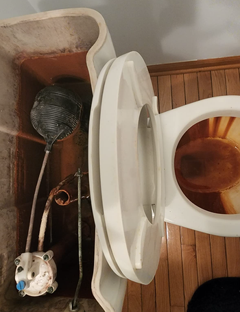 An open toilet tank showing its internal components, including the float ball and flush valve, with the toilet bowl beside it