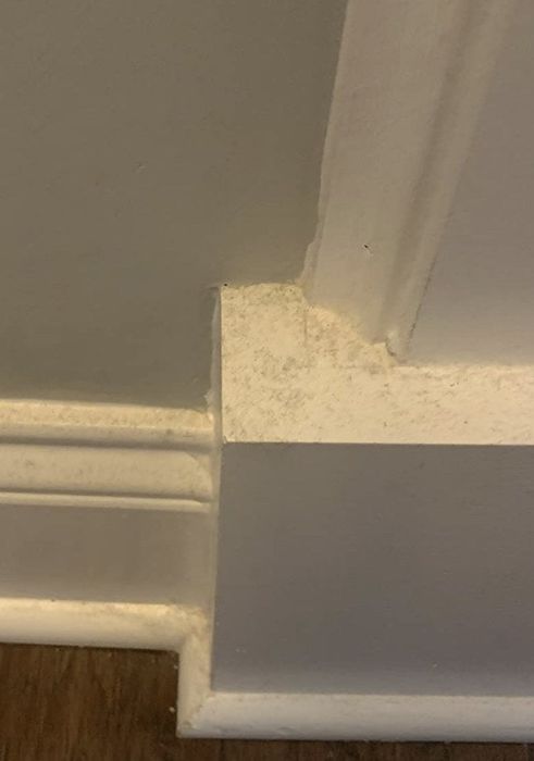 A reviewer presenting their dirty baseboards
