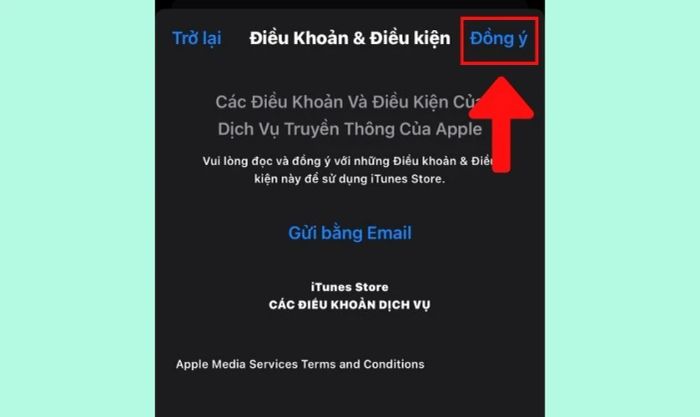 Đồng ý với các điều khoản và điều kiện