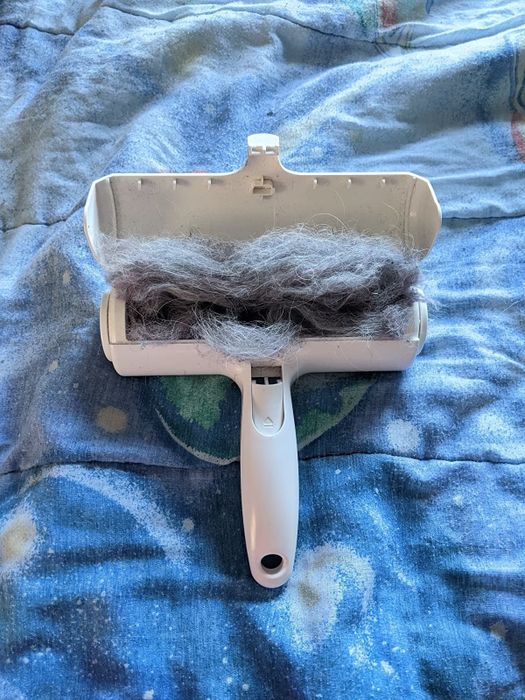An image of the ChomChom roller with the cover removed, showing all the collected pet hair trapped inside