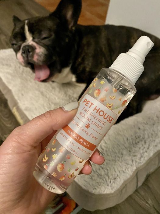 The Pet House spray that eliminates pet odors, leaving your space smelling fresh without irritating your dog's nose in the process.