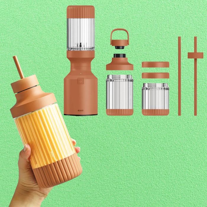 The parts of the Terra mini blender