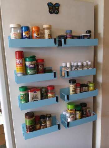 A reviewer's fridge with blue magnetic shelves neatly holding spices and cooking supplies