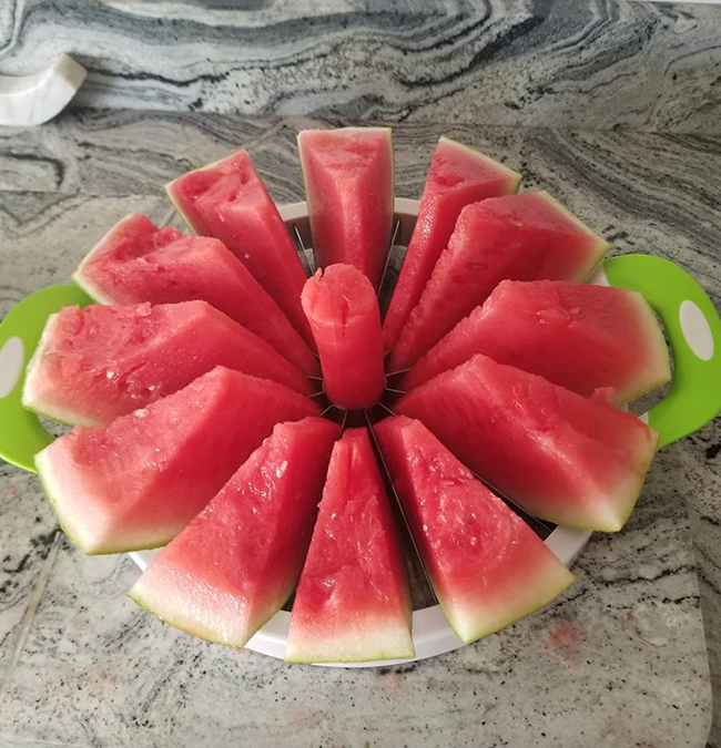 Sliced watermelon arranged in a perfect circular pattern after being cut.