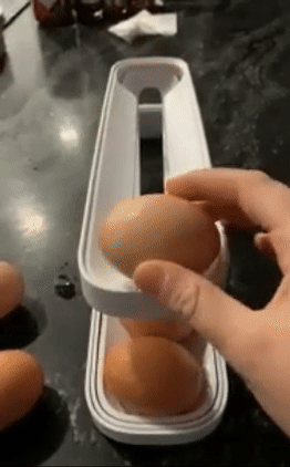 A reviewer places an egg into the dispenser, causing it to roll down and settle into the bottom tier