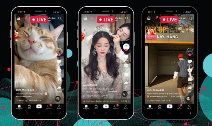 cách kiếm xu trên TikTok