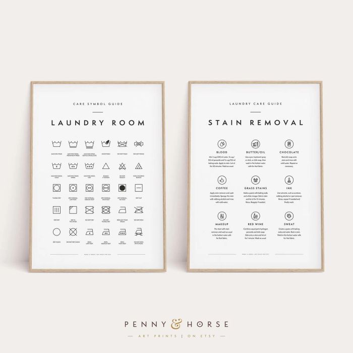 Two informative printables: one detailing laundry symbols and the other showing how to remove various types of stains.