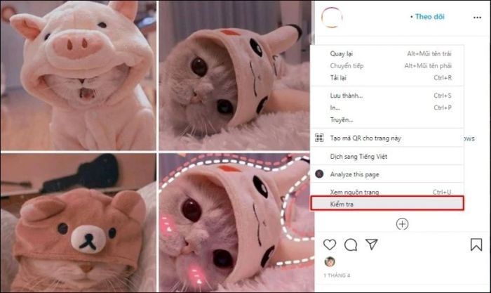 cách tải ảnh từ Instagram về máy tính
