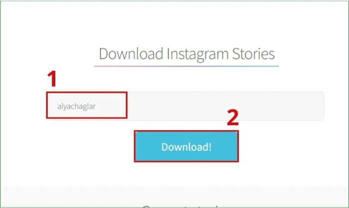 cách tải và lưu video story Instagram trên máy tính