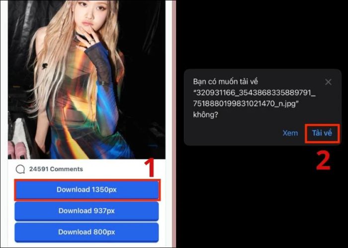 Chọn chất lượng ảnh mà bạn muốn tải xuống