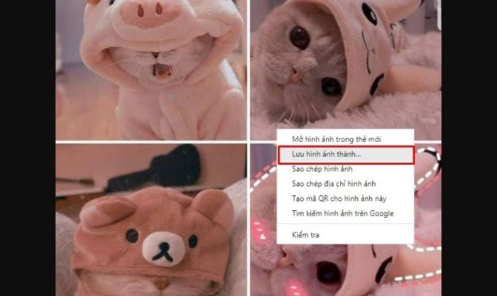 cách tải ảnh Instagram về máy tính