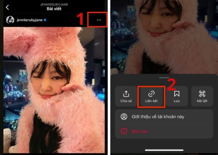 sao chép đường dẫn ảnh Instagram cần tải về iPhone