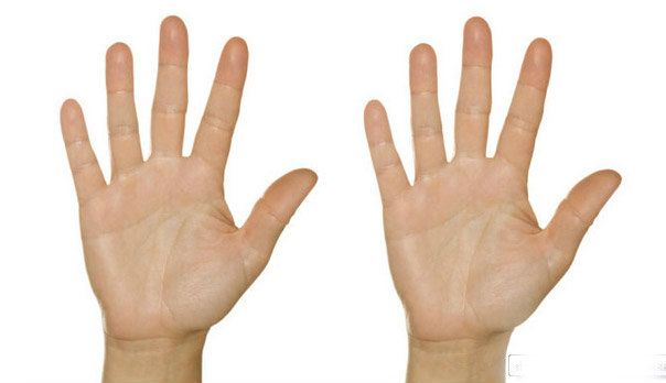 เส้นลายมือ