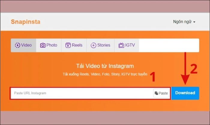 sử dụng snapinsta để tải video từ Instagram về máy tính