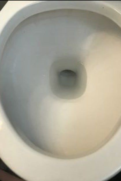 An after image showing a toilet spotless with no stains or grime