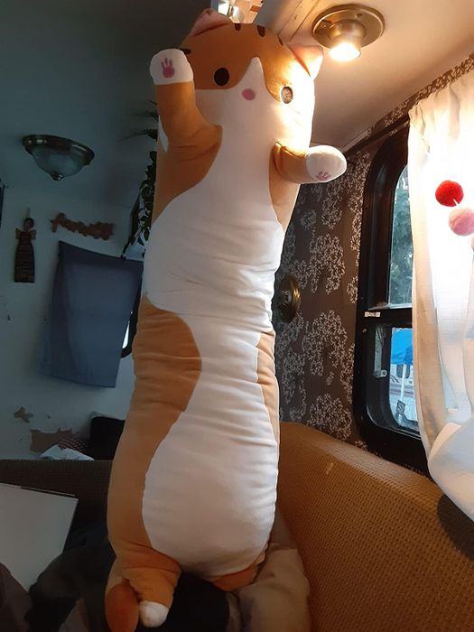 Reviewer image featuring the red cat body pillow