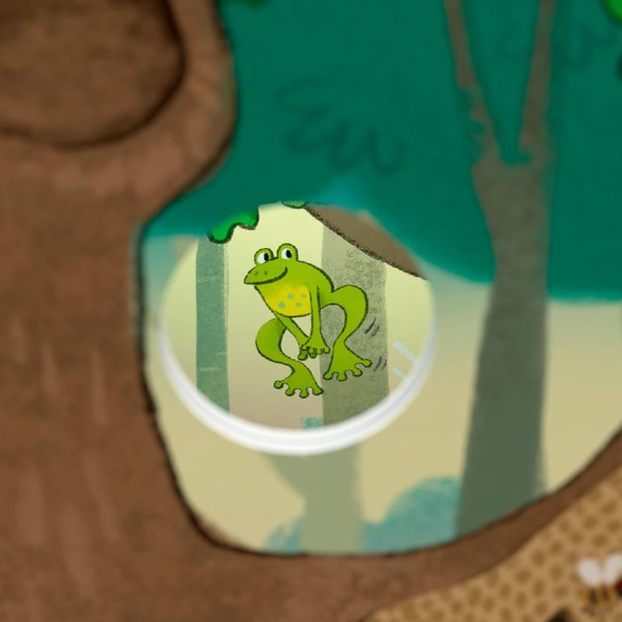 A green frog with a yellow belly peeks out from a circular hole in a tree illustration, set against a forest backdrop.