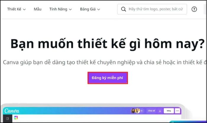 cách sử dụng Canva một cách cơ bản