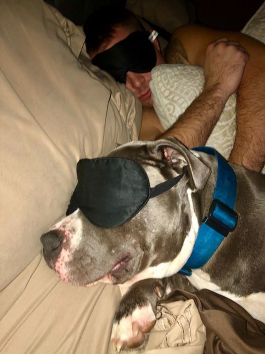A reviewer and their dog both wearing eye masks while peacefully sleeping.