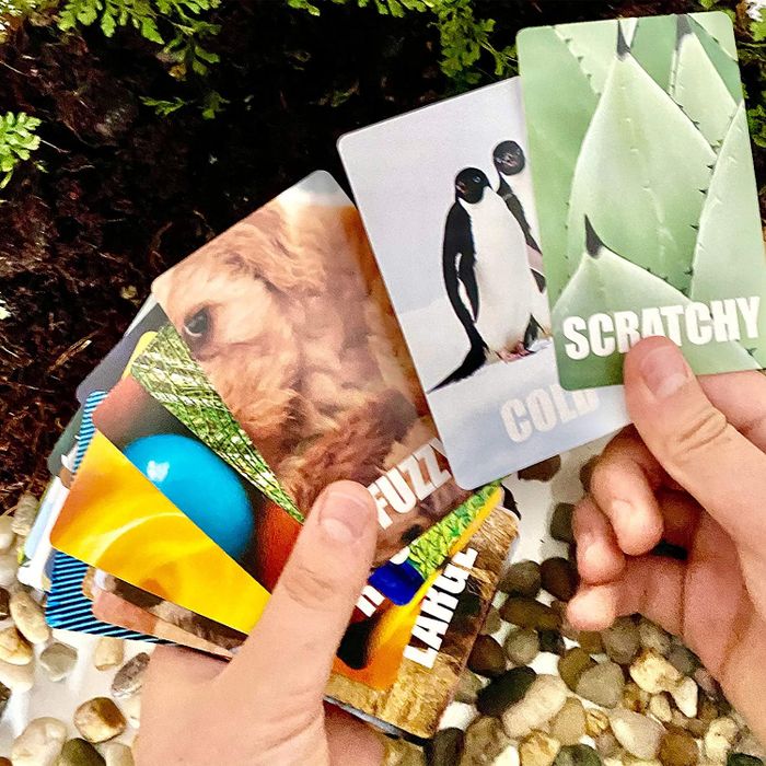 a set of cards featuring categories like scratchy, cold, fuzzy, and more