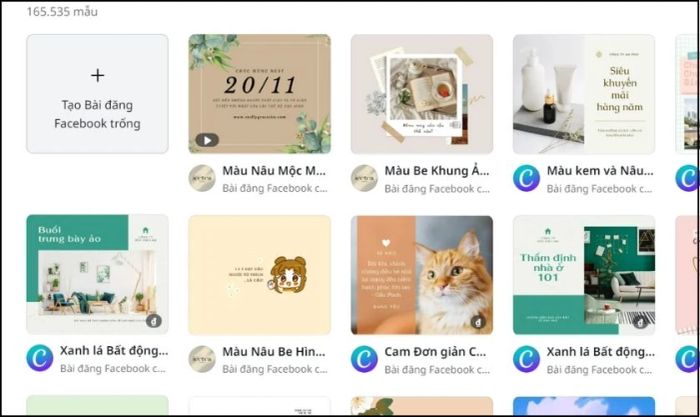 cách sử dụng Canva cơ bản