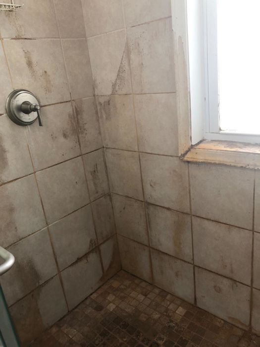 A photo of the reviewer's shower covered in mold and mildew stains