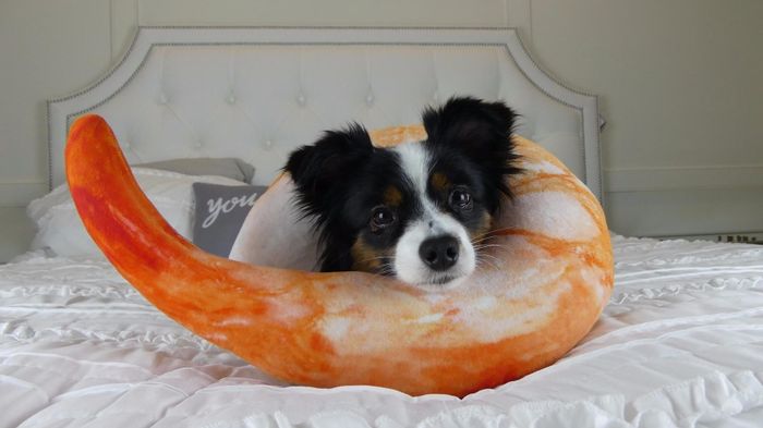 A dog comfortably relaxing on the shrimp-shaped travel pillow.