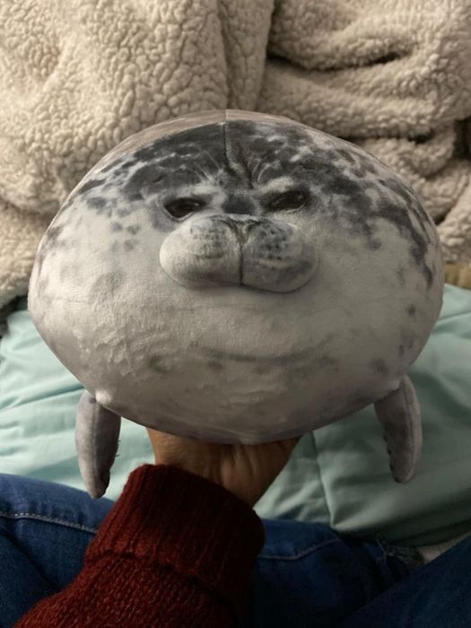A person holding a plush seal-shaped pillow
