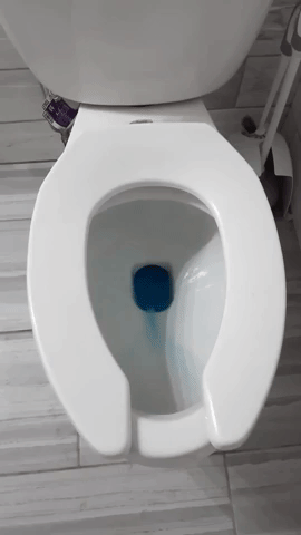 A GIF depicting a reviewer's toilet flushing with blue-colored water