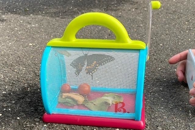 A reviewer's photo featuring a butterfly inside a colorful insect-catching kit, showcasing its functionality.