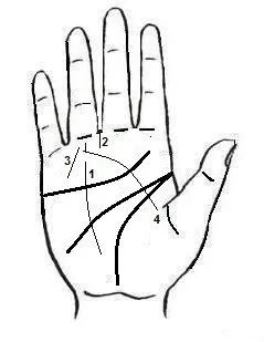 เส้นอาทิตย์ หรือที่รู้จักกันในชื่อเส้นความสำเร็จ เป็นเส้นที่มีความหมายเกี่ยวกับความรุ่งเรืองและความสำเร็จในชีวิต